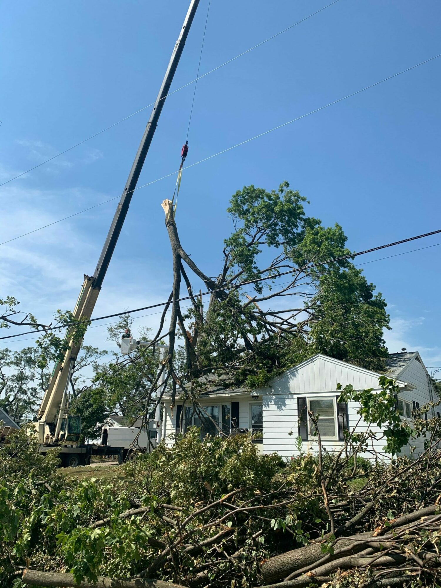 Hidden Gems: Meet Jake Seidenstricker of Jake’s Top Notch Tree Service ...