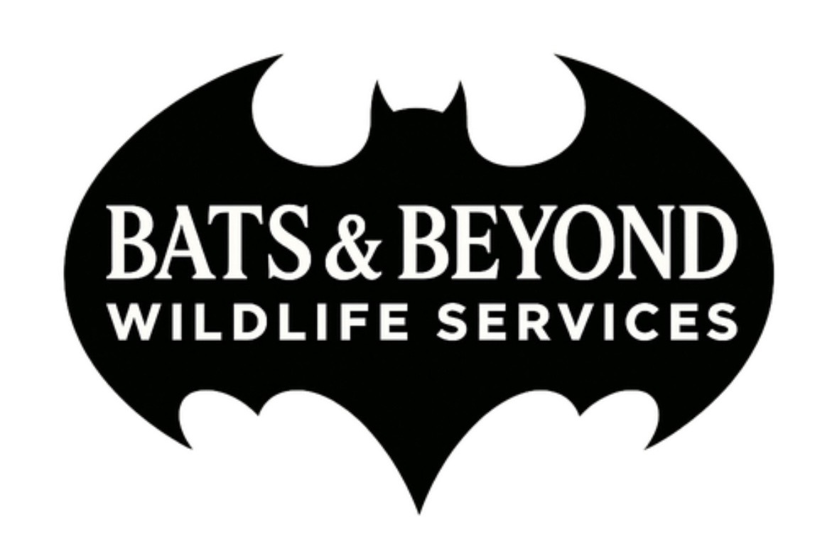Bat-shaped logo with text 'BATS & BEYOND WILDLIFE SERVICES' inside the bat silhouette.