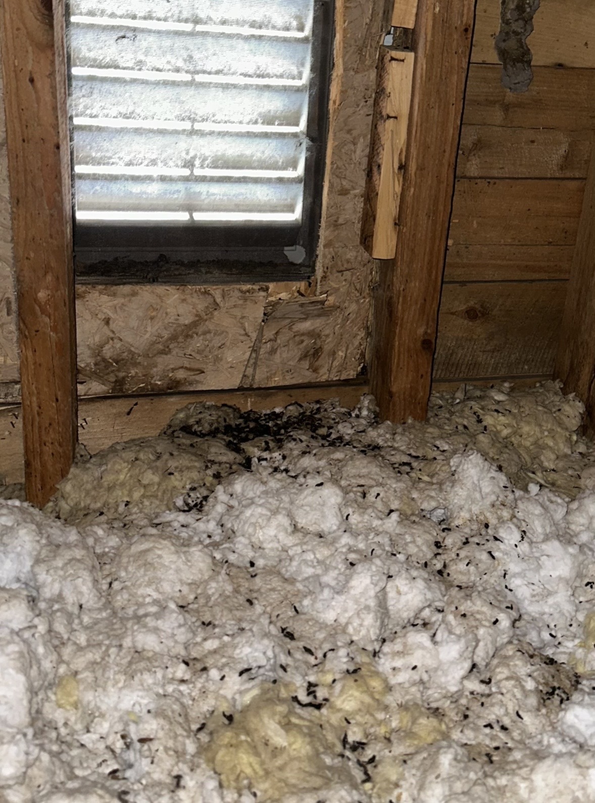 Interior view showing a window, wooden framing, and a floor covered with snow and debris.