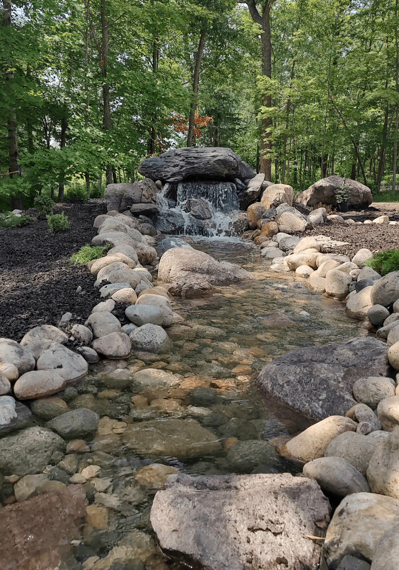 Stream with rocks flowing into a small waterfall surrounded by trees and greenery.