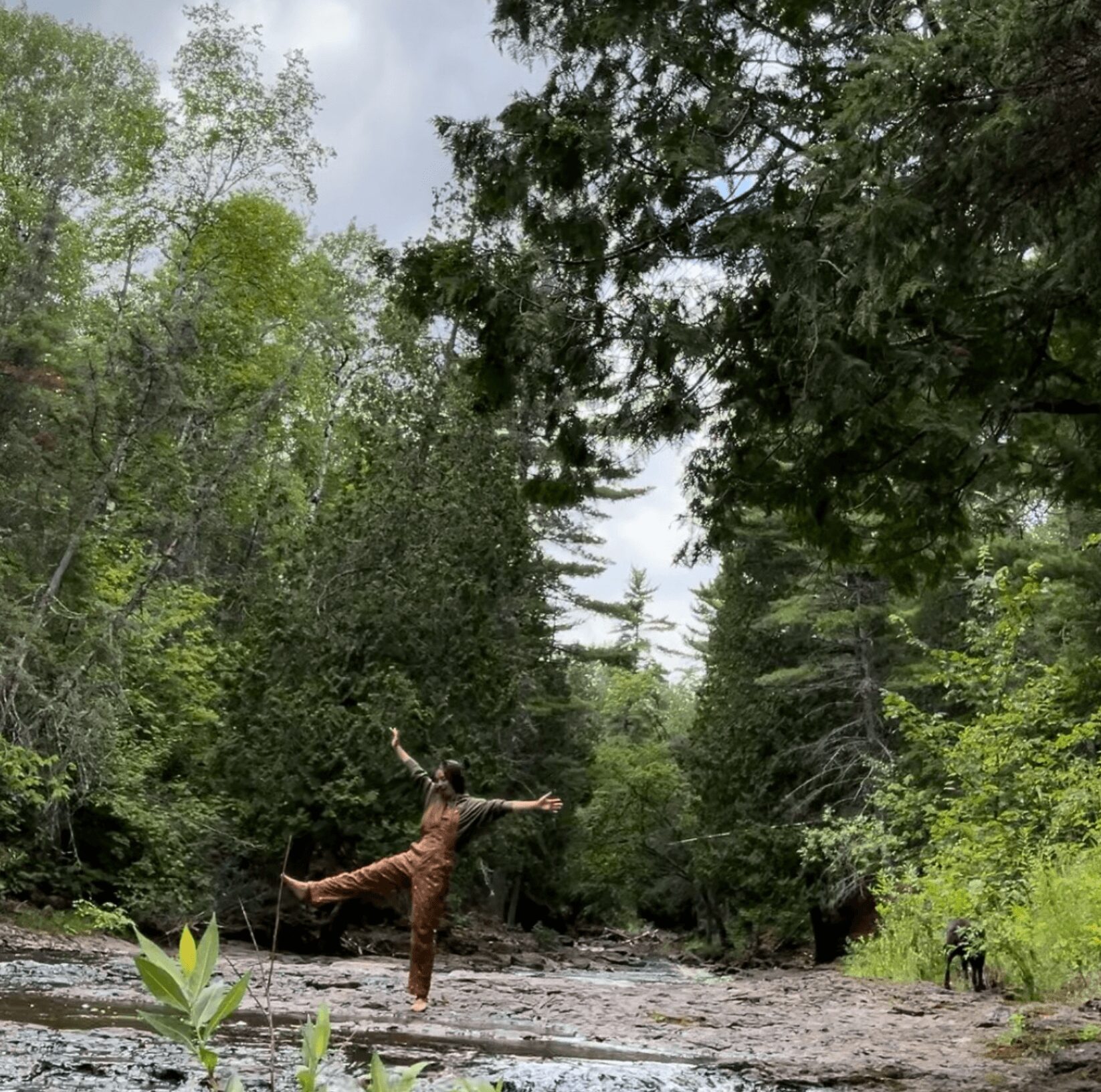 Person standing on a rocky riverbank with arms outstretched, surrounded by tall green trees and a cloudy sky.