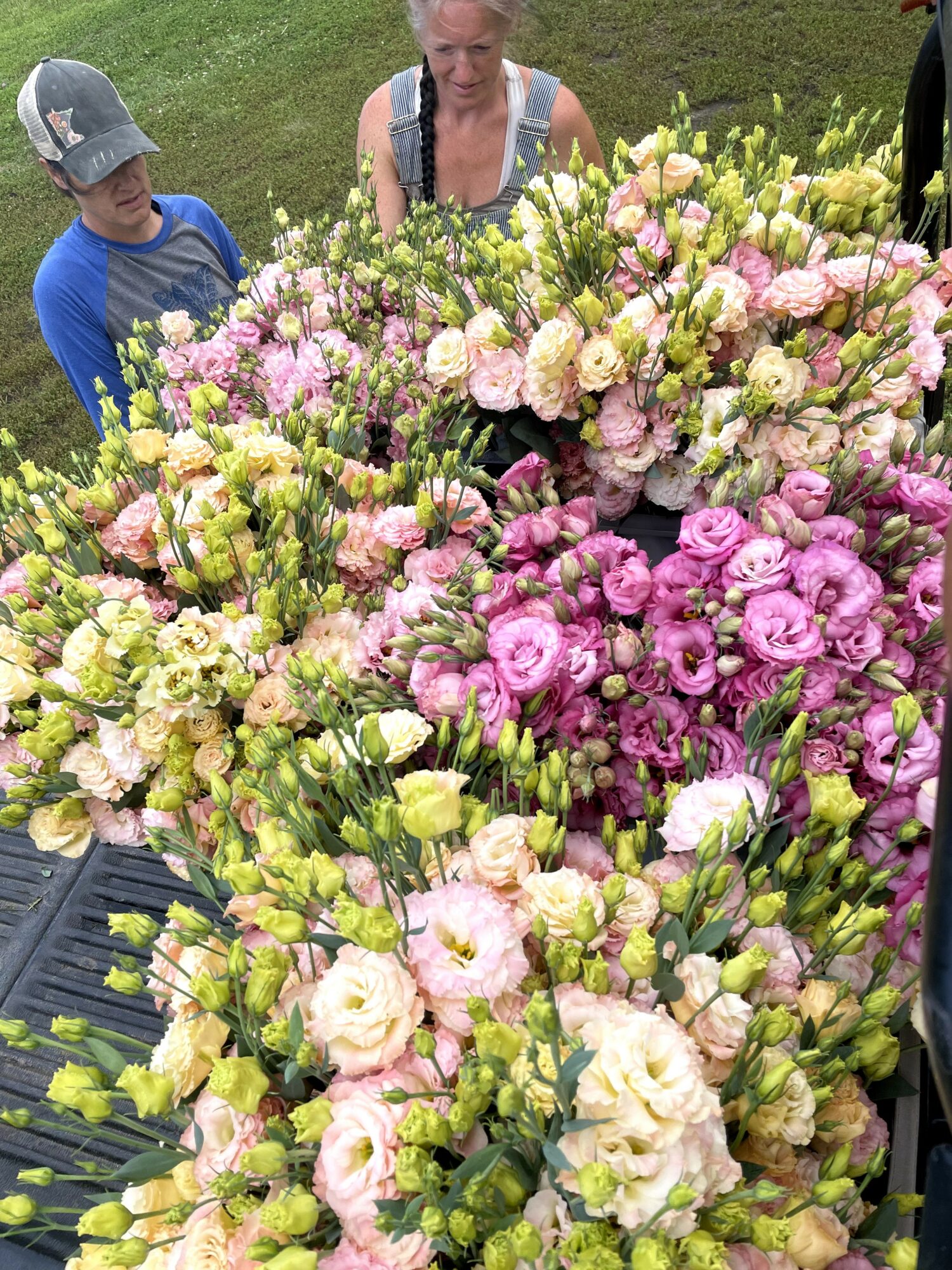 People looking at large colorful flower arrangements outdoors, grass background, woman and boy visible.