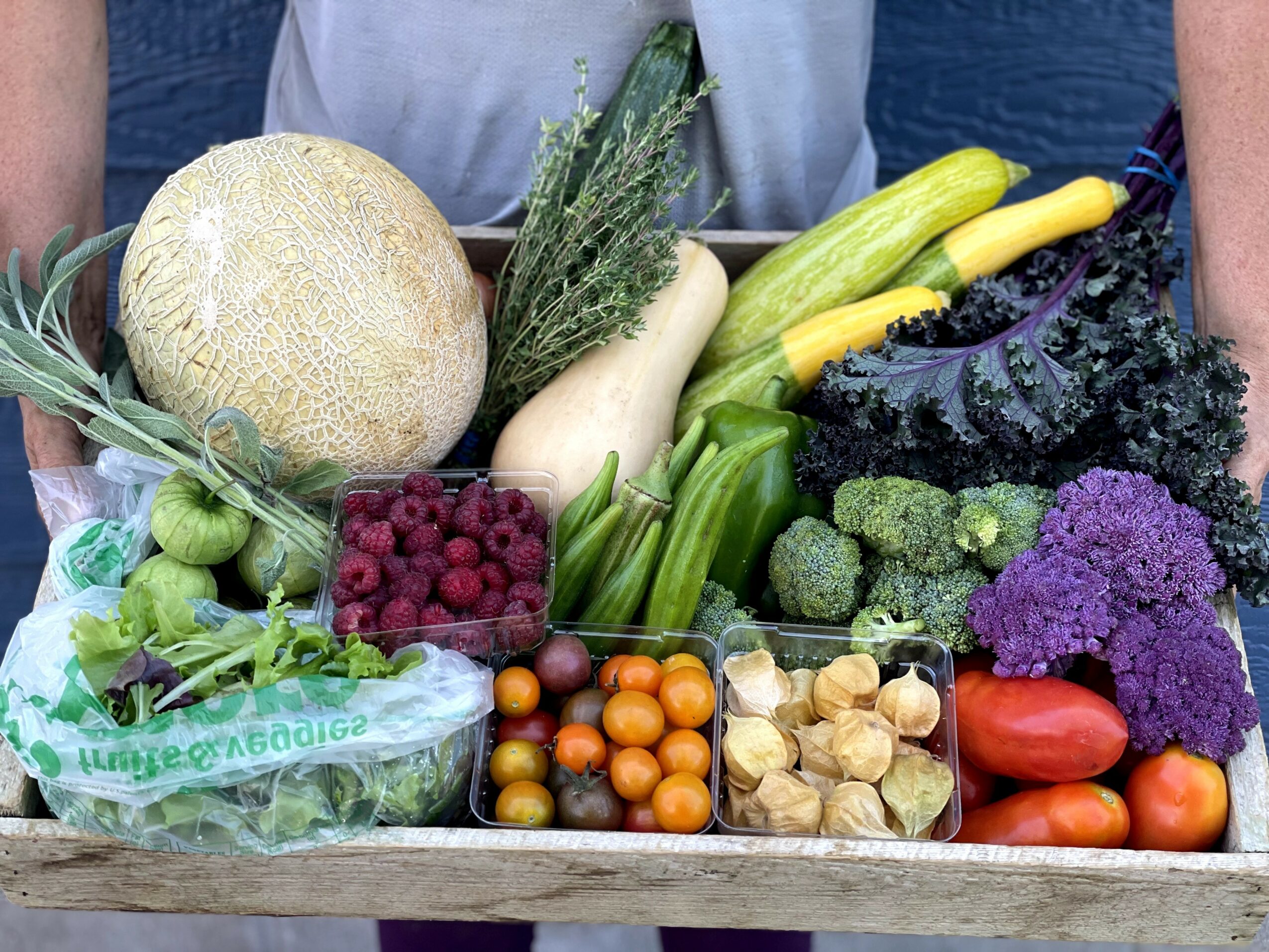 Assorted fresh vegetables and fruits including melon, zucchini, kale, tomatoes, radishes, and grapes on a wooden surface.