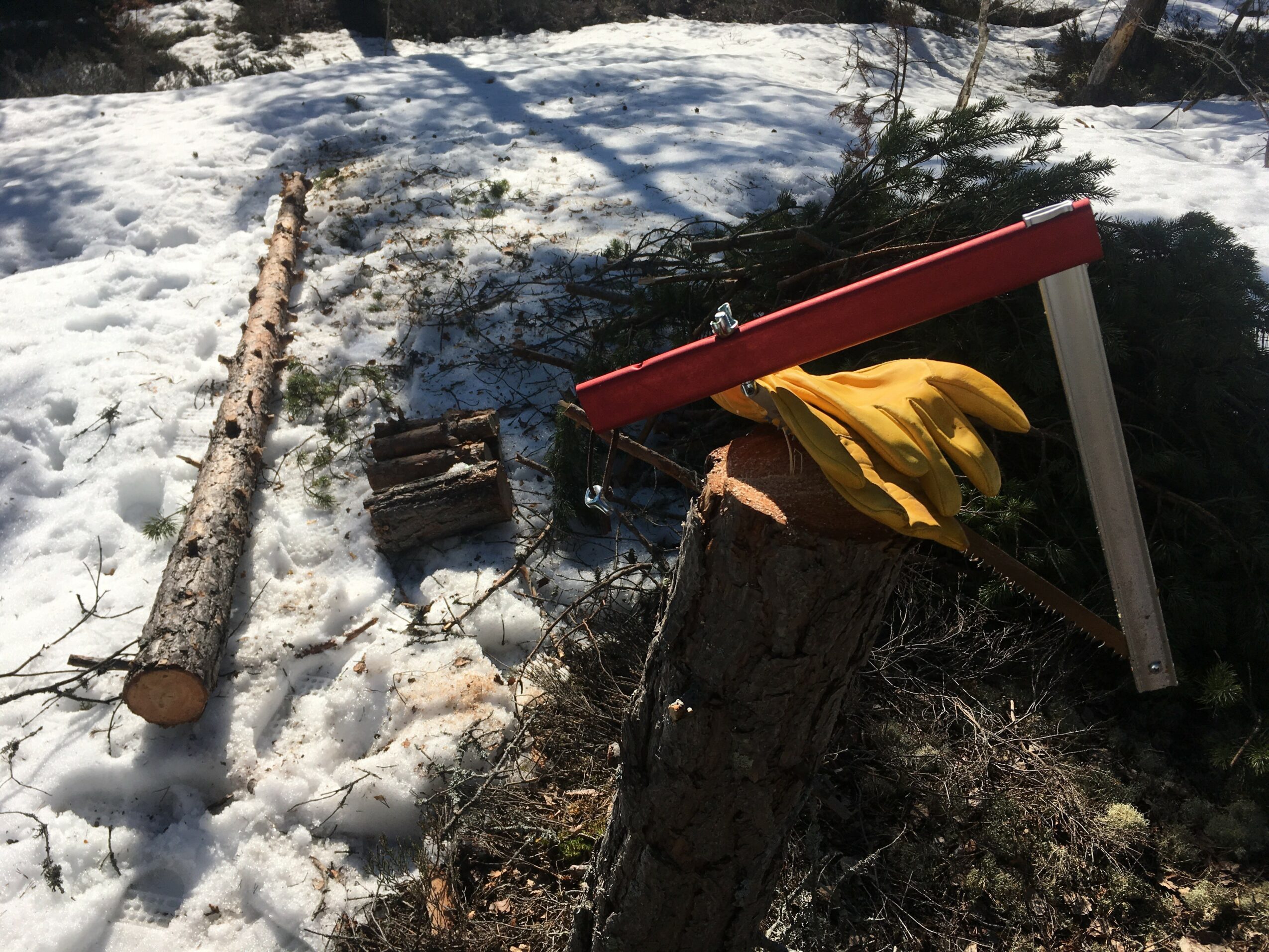 Tree stump with yellow cloth, red saw, and fallen branch on snow-covered ground outdoors.