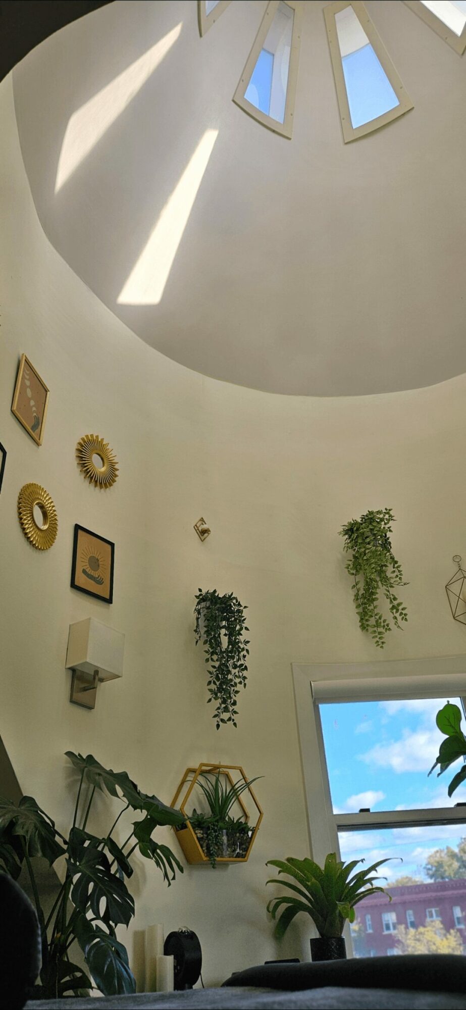 Interior view of a room with a high, curved ceiling and three windows, decorated with hanging plants and framed pictures.