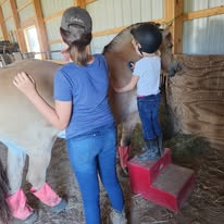 Two children in a barn, one on a red step stool, petting a horse's head, with another horse nearby.