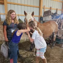 Two children pet a white horse inside a barn, with a woman observing nearby.