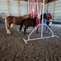Two horses and a person in an indoor riding arena with a vertical pole structure.