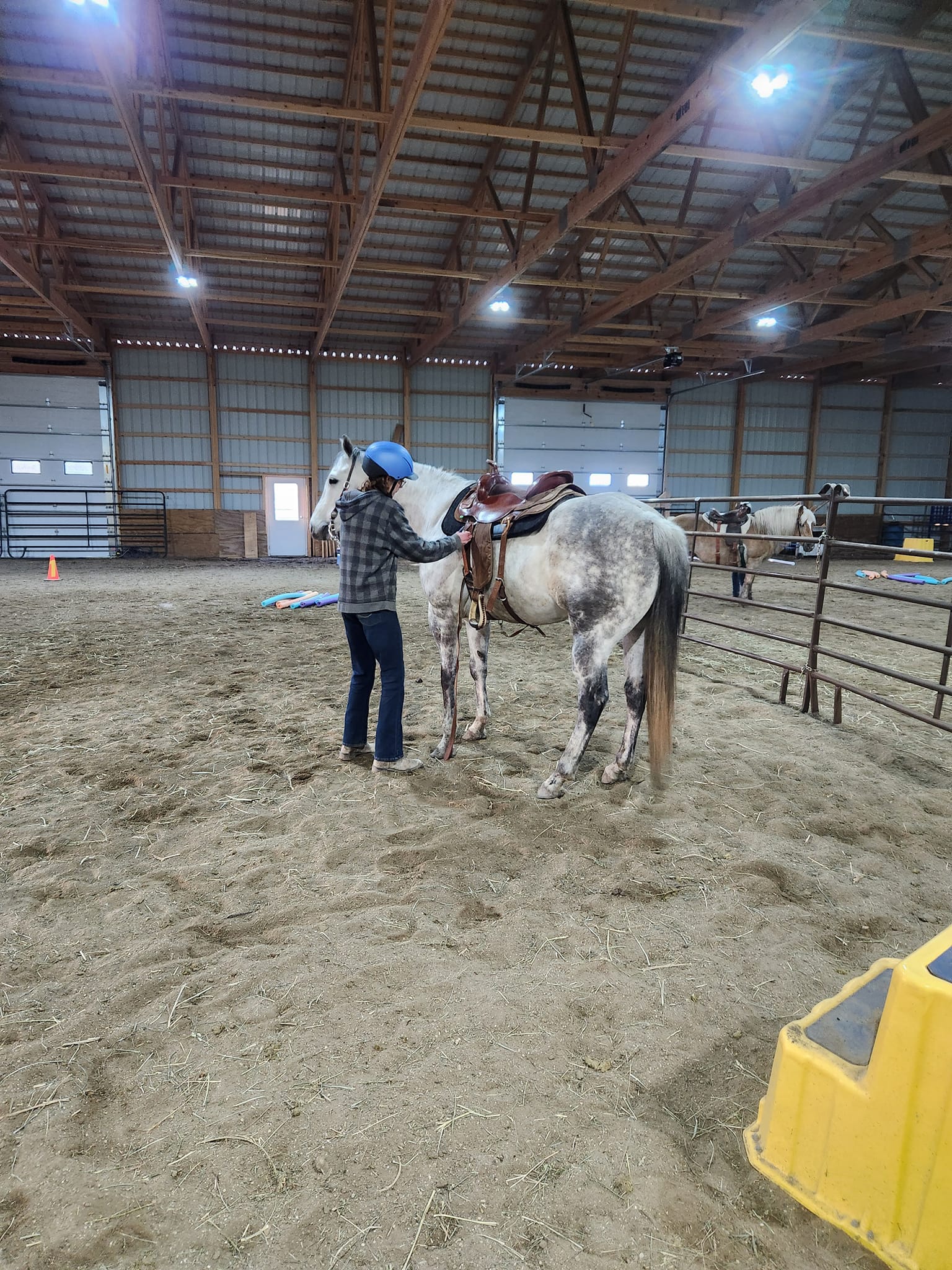 Person wearing a helmet and checkered shirt stands next to a white horse inside an indoor riding arena.