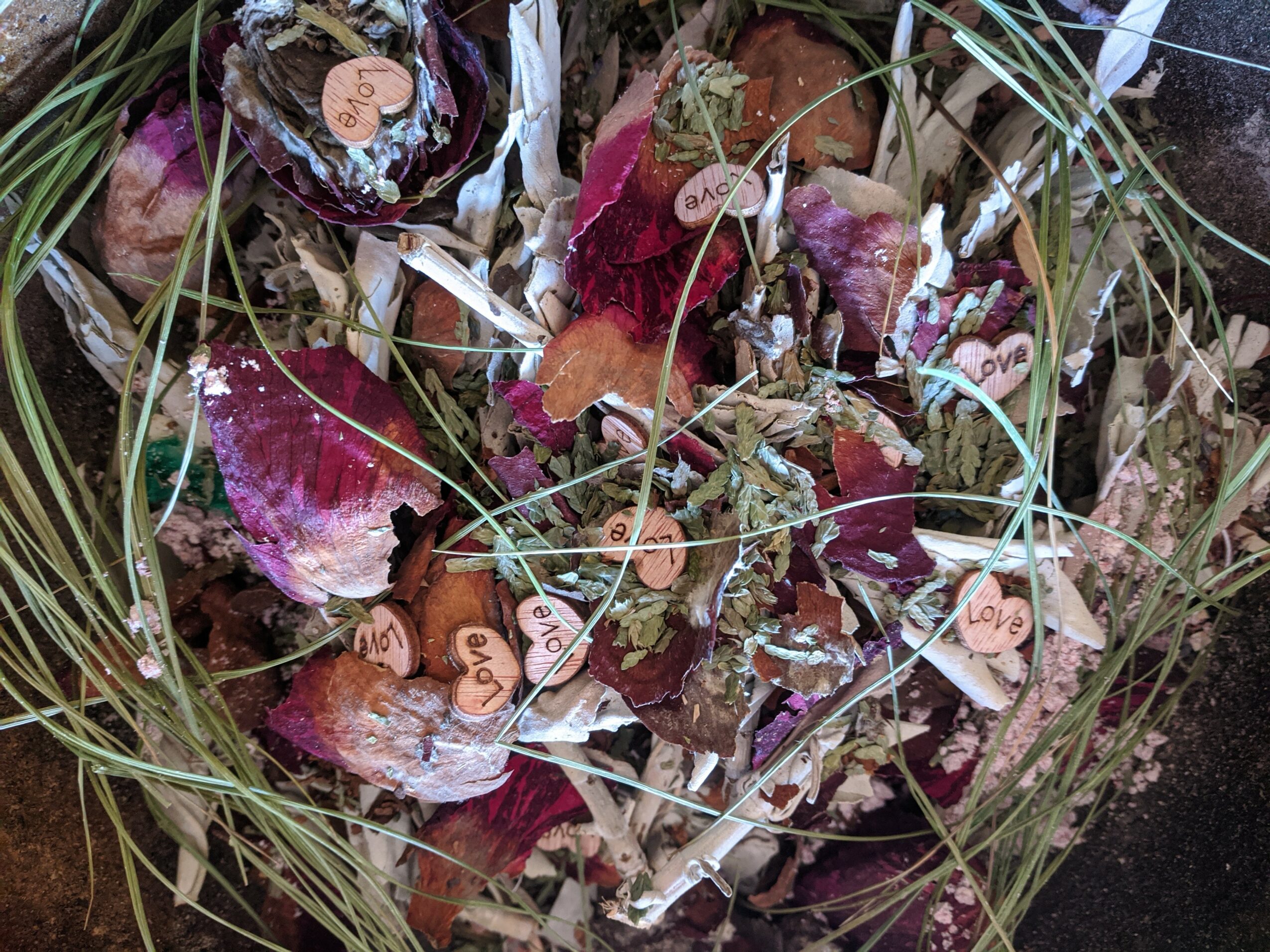 Close-up of mushrooms with small heart-shaped tags and grass, some tags read 'Love' and 'You'.