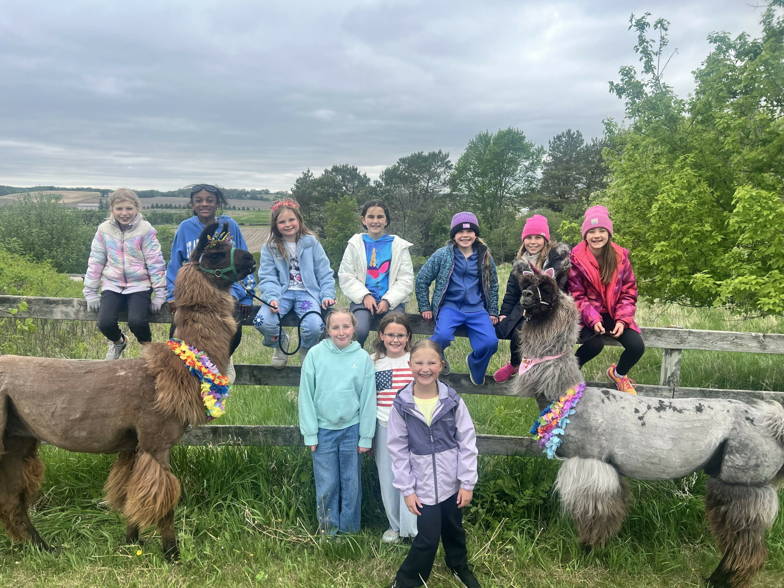 Group of children outdoors with two decorated ponies, some children sitting on a wooden fence, others standing on grass, trees, and cloudy sky in background.