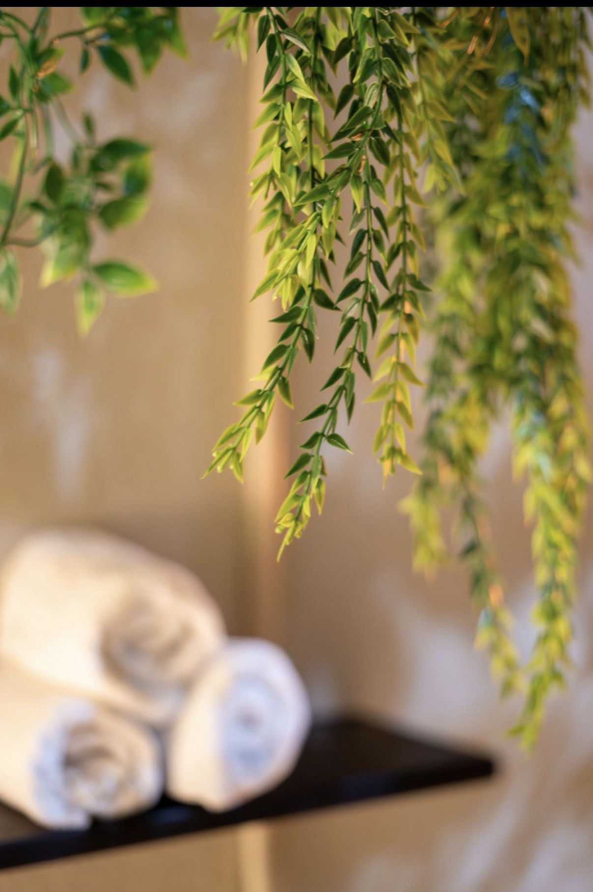 Hanging green plant with long, narrow leaves, blurred towels and a black shelf in the background.