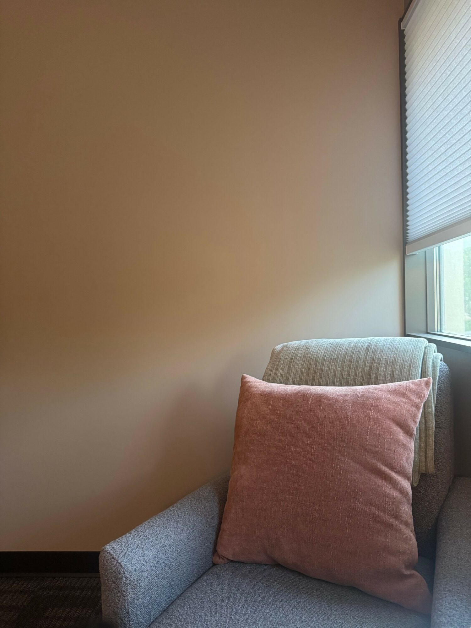 Cushion on a sofa near a window with blinds, beige wall background.