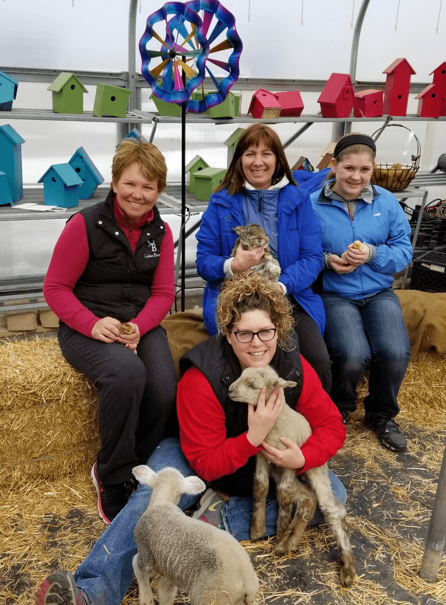 Four children sitting on hay bales with small animals, colorful decorative items in background, smiling outdoors.