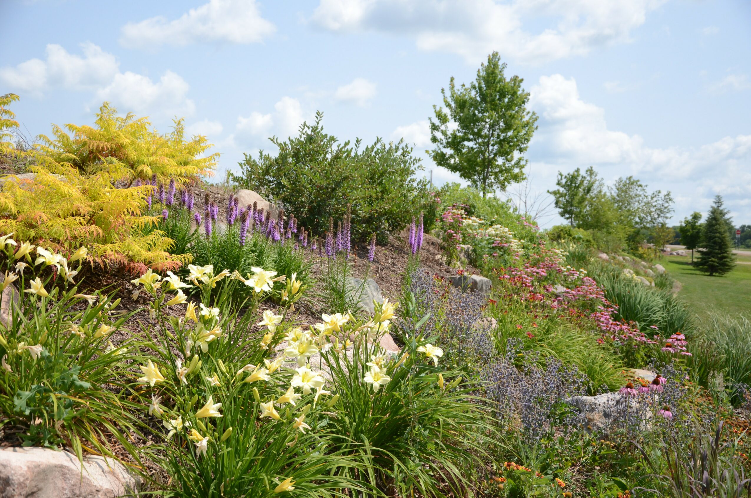 Colorful garden with various flowers, shrubs, and trees under a partly cloudy sky.