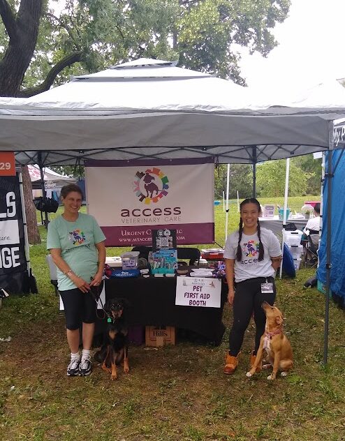 Two women standing with dogs in front of a booth under a canopy at an outdoor event, trees and tents in background.