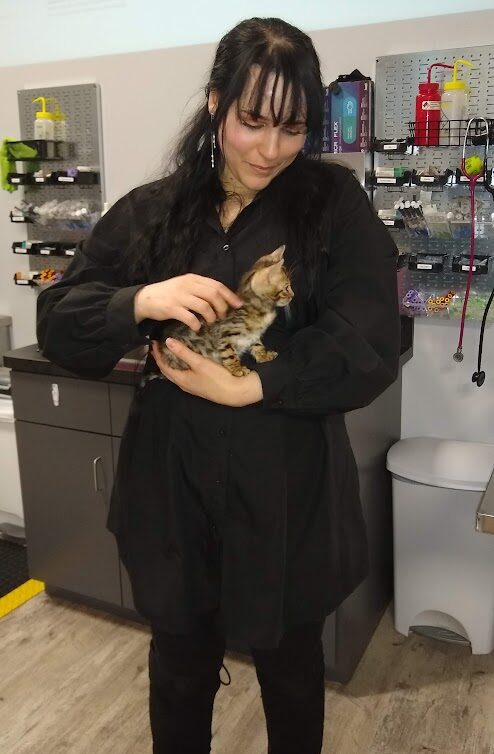 Woman holding a kitten in a veterinary clinic, shelves with supplies in the background.