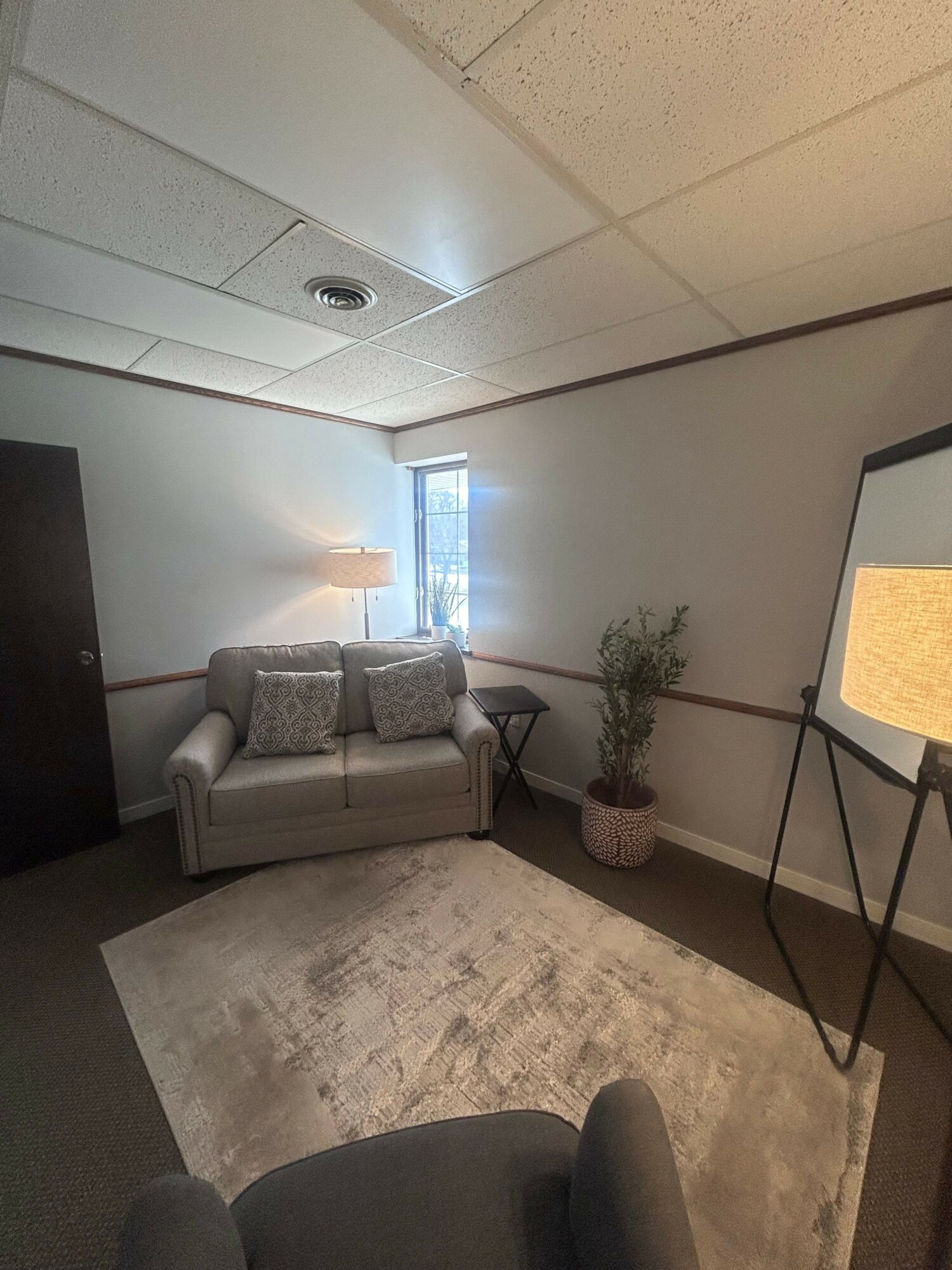 Living room with sofa, potted plant, window, and rug, viewed from an angle.