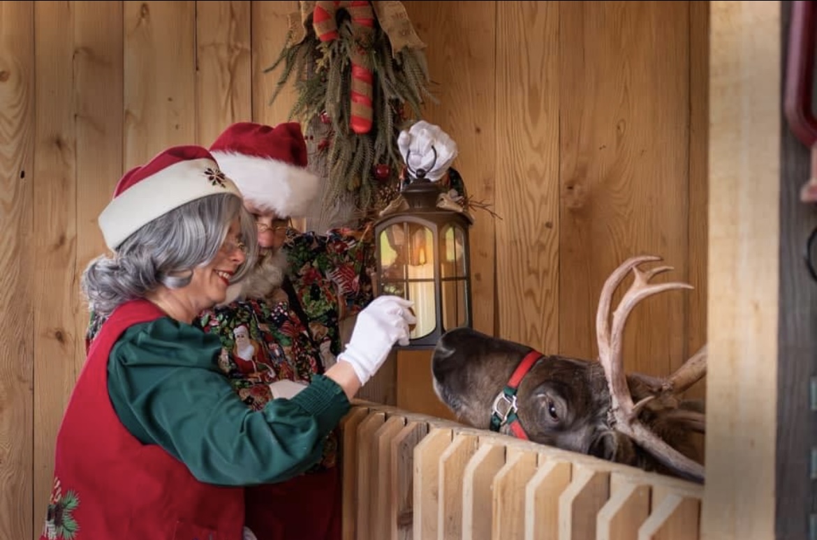 Person dressed as Santa Claus with gray hair and a red and white hat, interacting with a reindeer inside a wooden enclosure, decorated for Christmas.