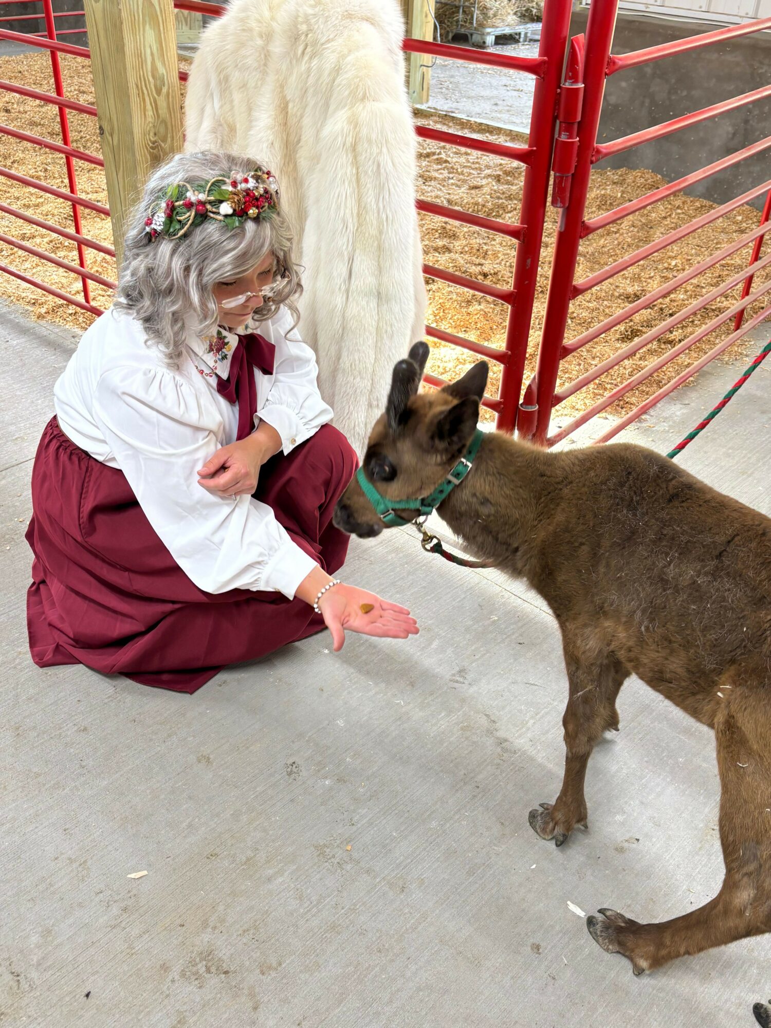 Girl with a floral headband reaching out to a dog inside a red fence, on a concrete floor.