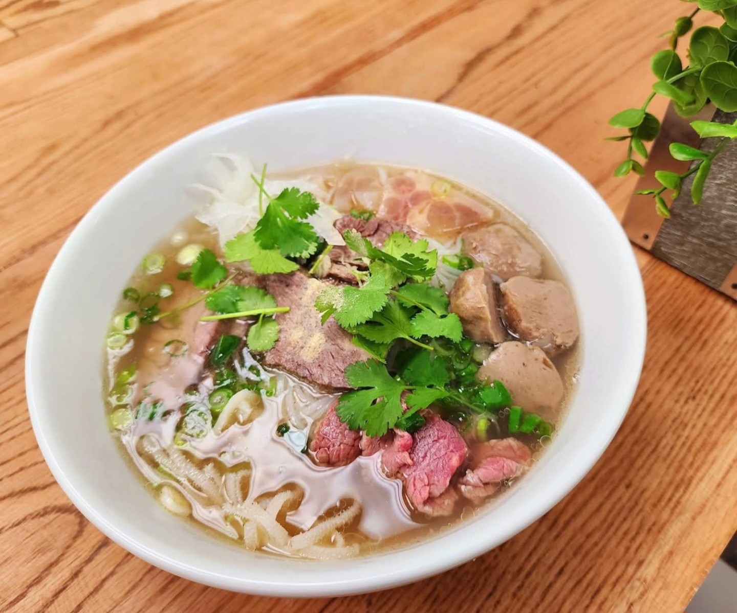 Bowl of noodle soup with meat, herbs, and green onions on a wooden table, with a small potted plant nearby.