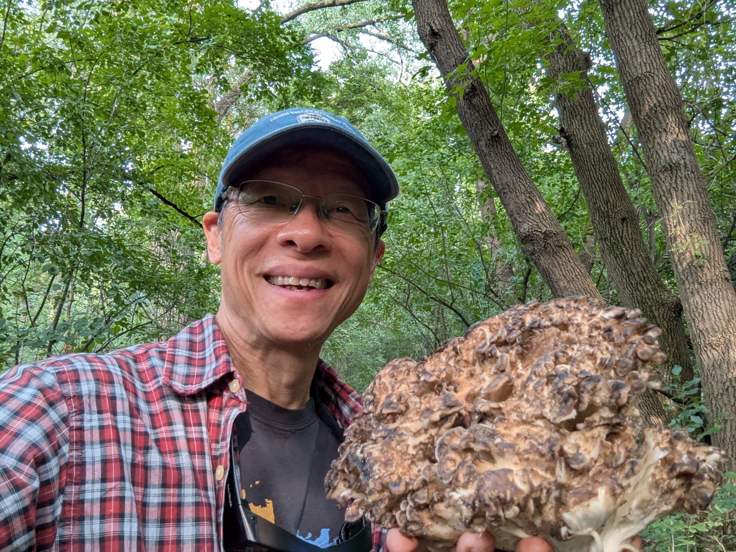 Smiling man in a plaid shirt and cap outdoors holding a large mushroom, surrounded by trees.