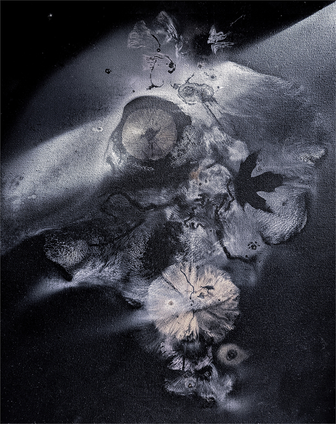 Abstract image with dark background, featuring various organic shapes and textures, resembling a mix of natural elements and ink splashes.