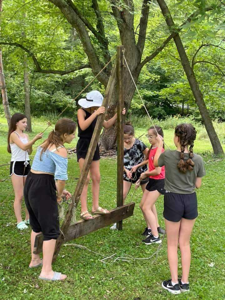 Group of children playing on a wooden swing hanging from a tree in a park with green grass and trees.
