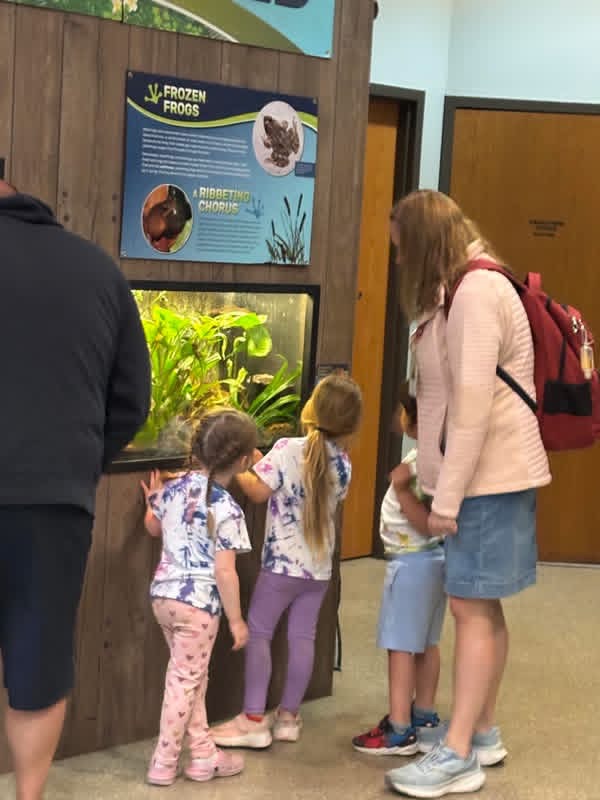 Children and an adult observe a display about frozen frogs at an indoor exhibit, with a wooden background and informational sign.