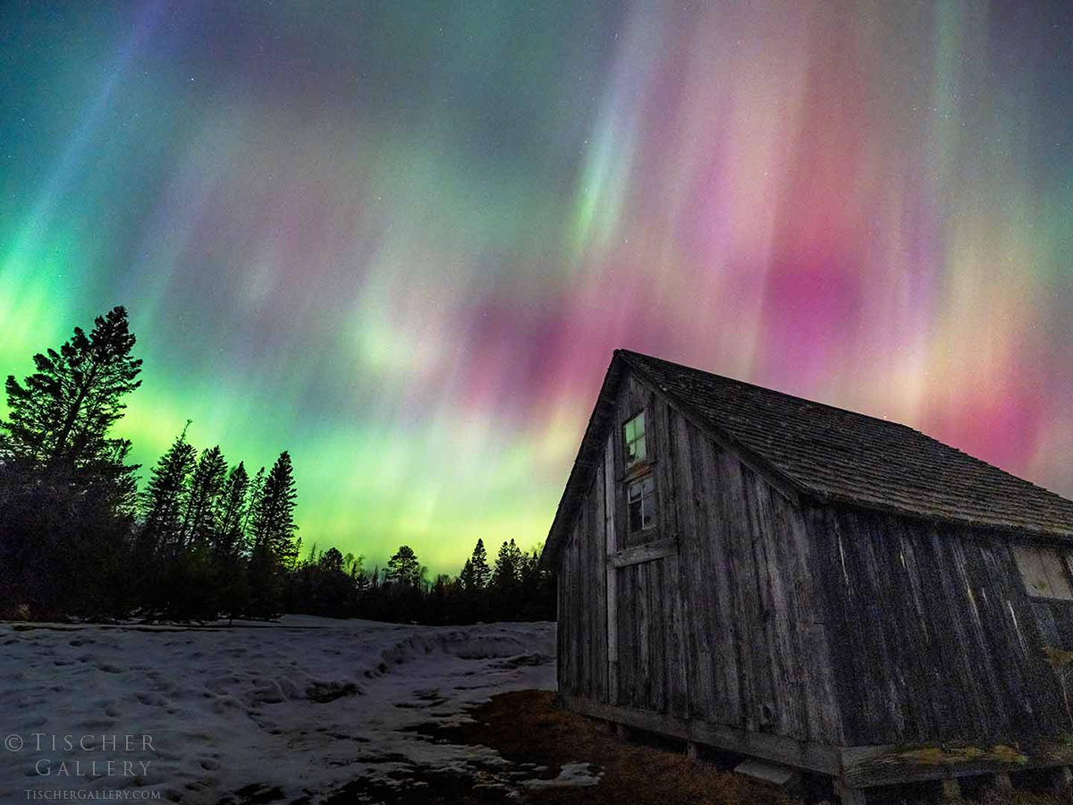 Night sky with colorful aurora borealis above a wooden barn and trees, snow on the ground.