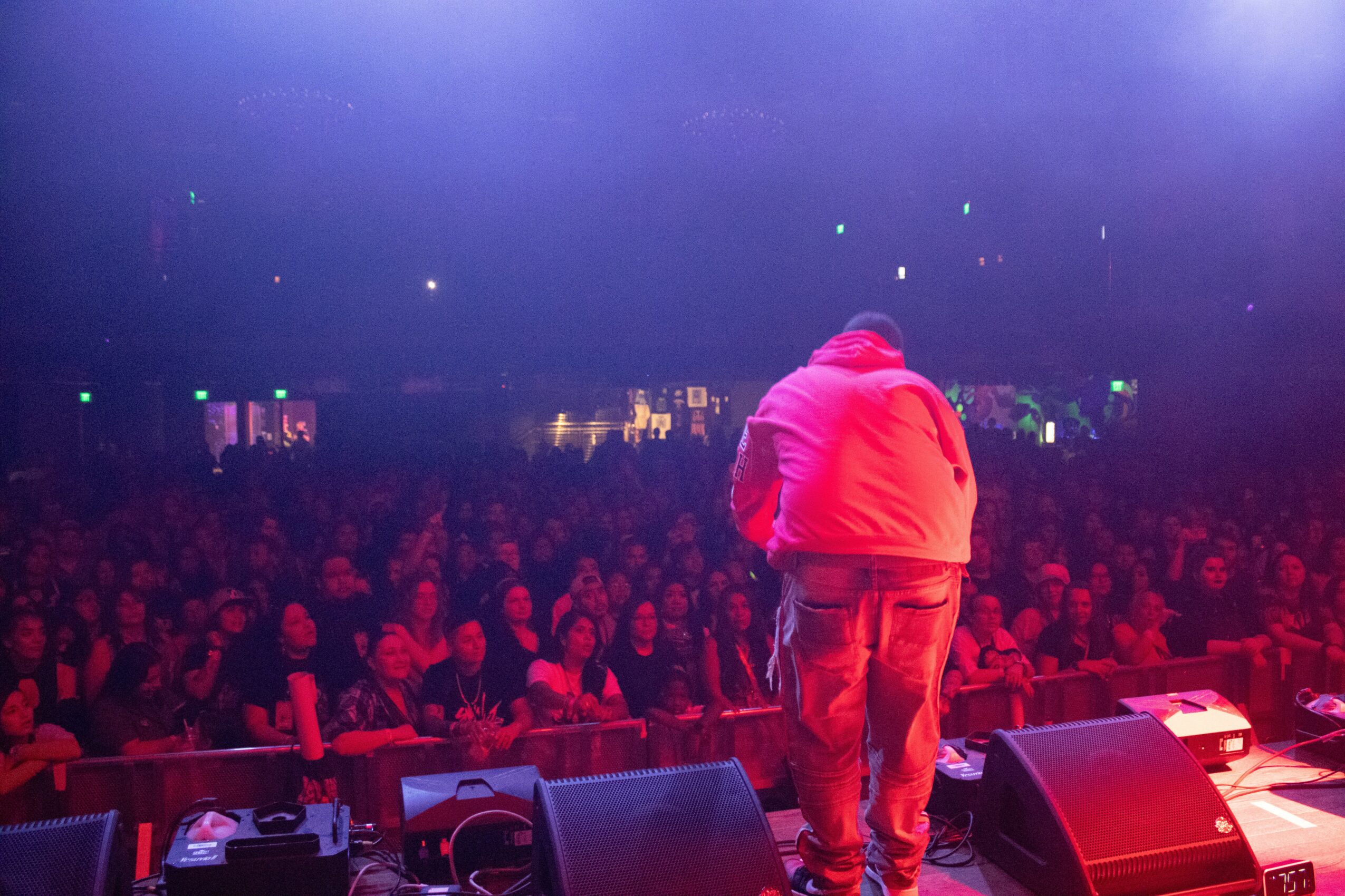 Performer on stage facing a large audience in a dark, colorful concert venue.