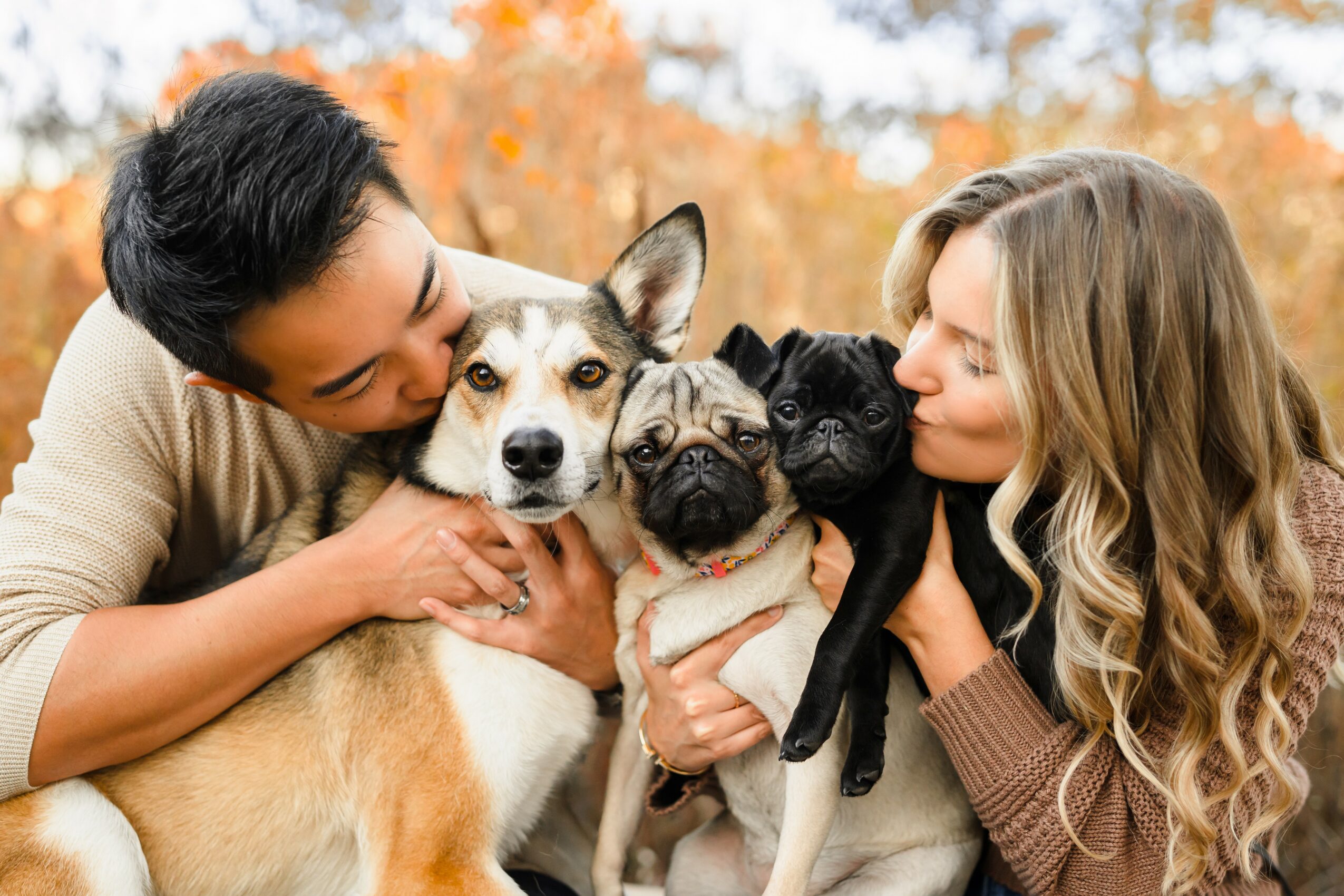 Two people hold and kiss three dogs outdoors with autumn foliage in background.