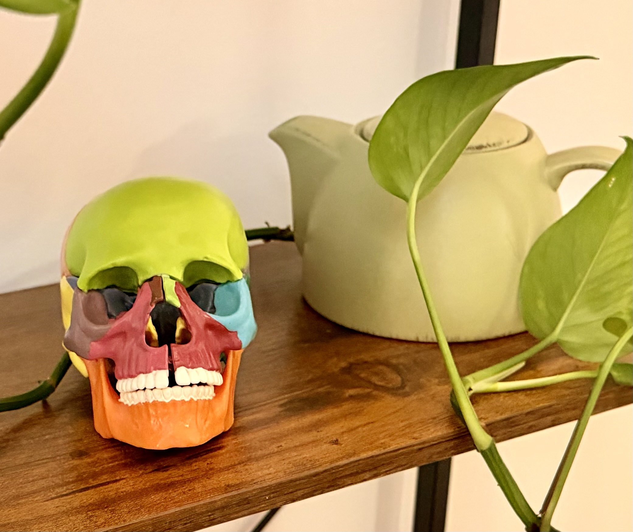 Colorful skull-shaped object with a green top, placed on a wooden surface next to a white teapot and green plants.