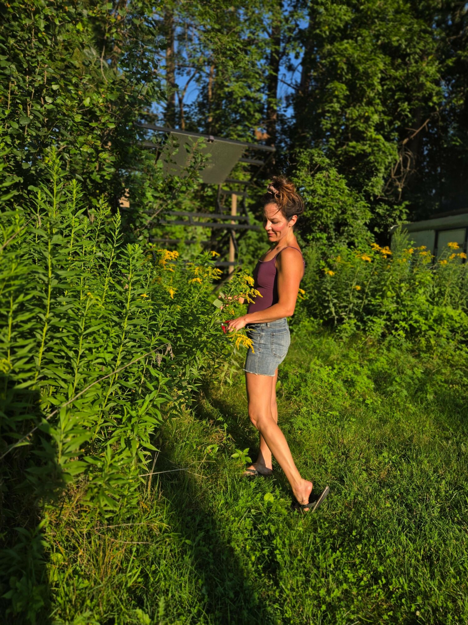 Woman in shorts and top standing outdoors on grass with trees and plants, sunlight shining, facing sideways.