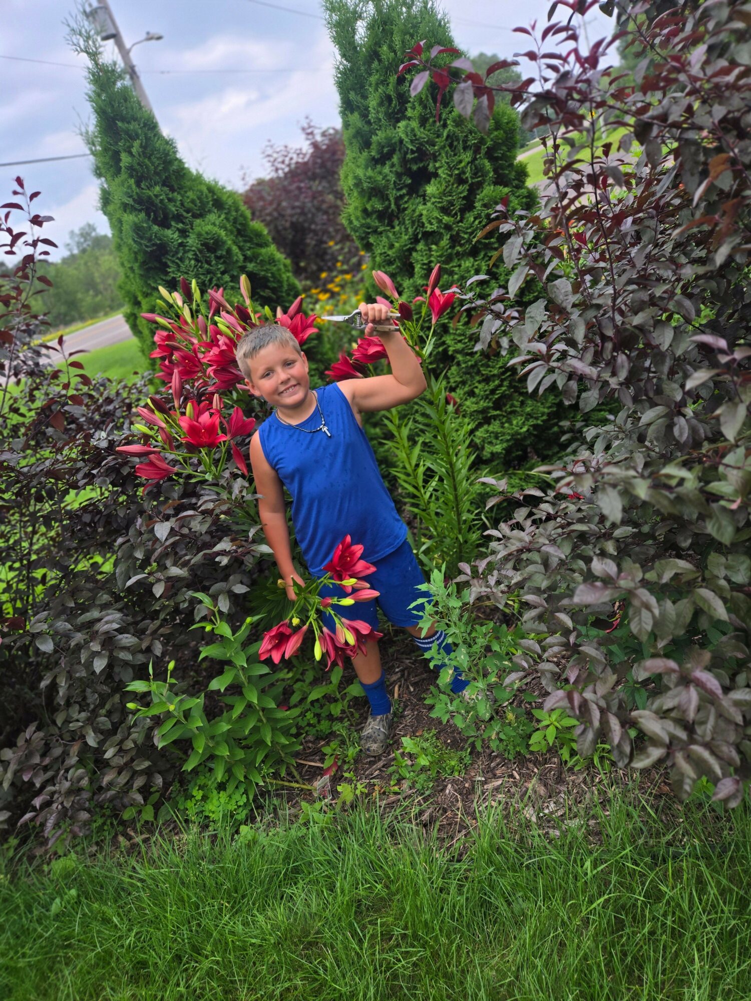 Child in blue shirt standing next to pink lilies and green plants outdoors.