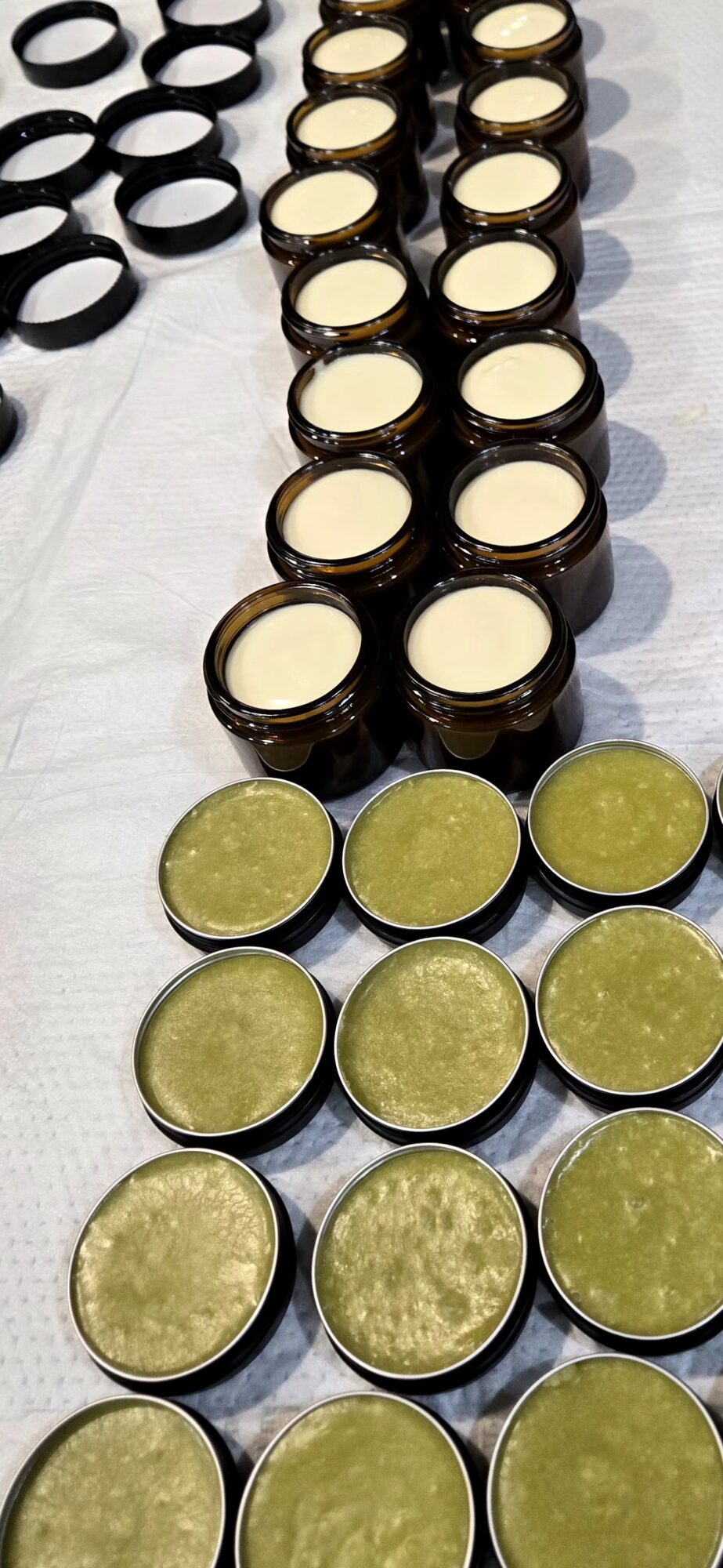 Rows of small containers with greenish substance on a white surface, some open, some closed, arranged in a pattern.