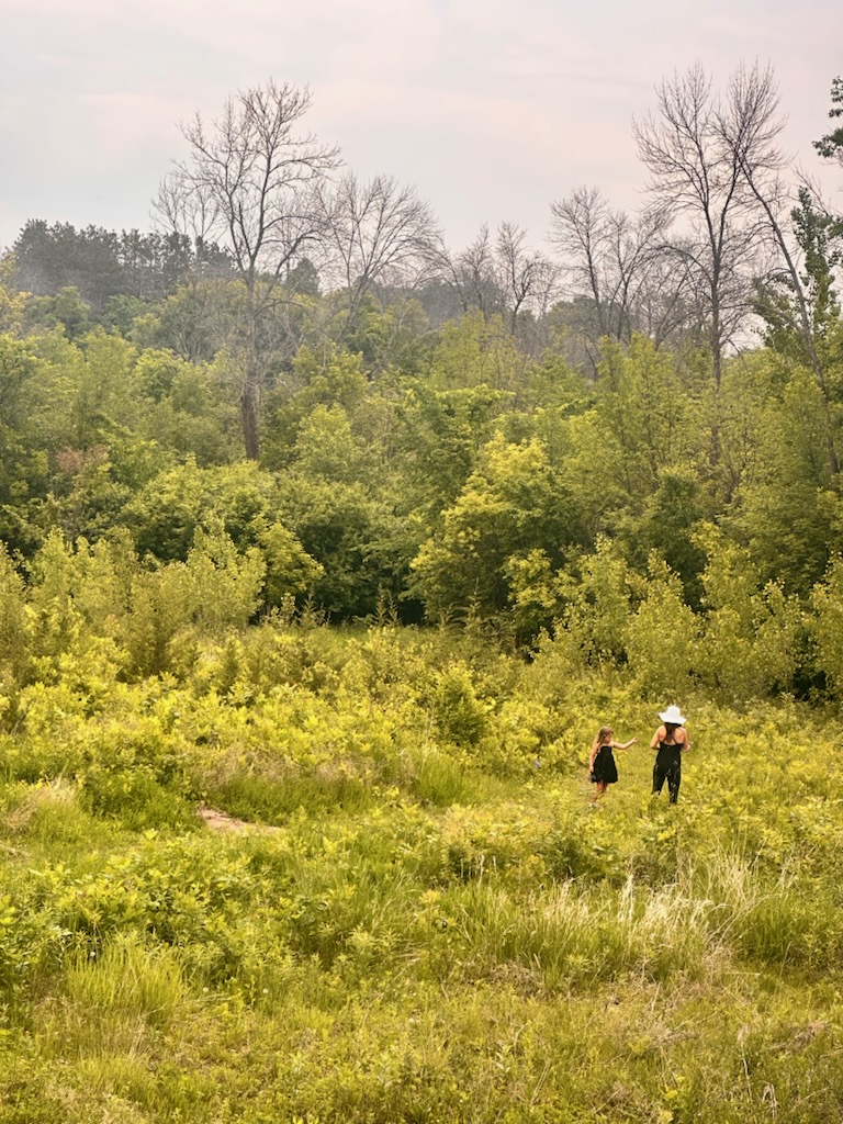 Two people walking through a grassy field with trees and a cloudy sky in the background.