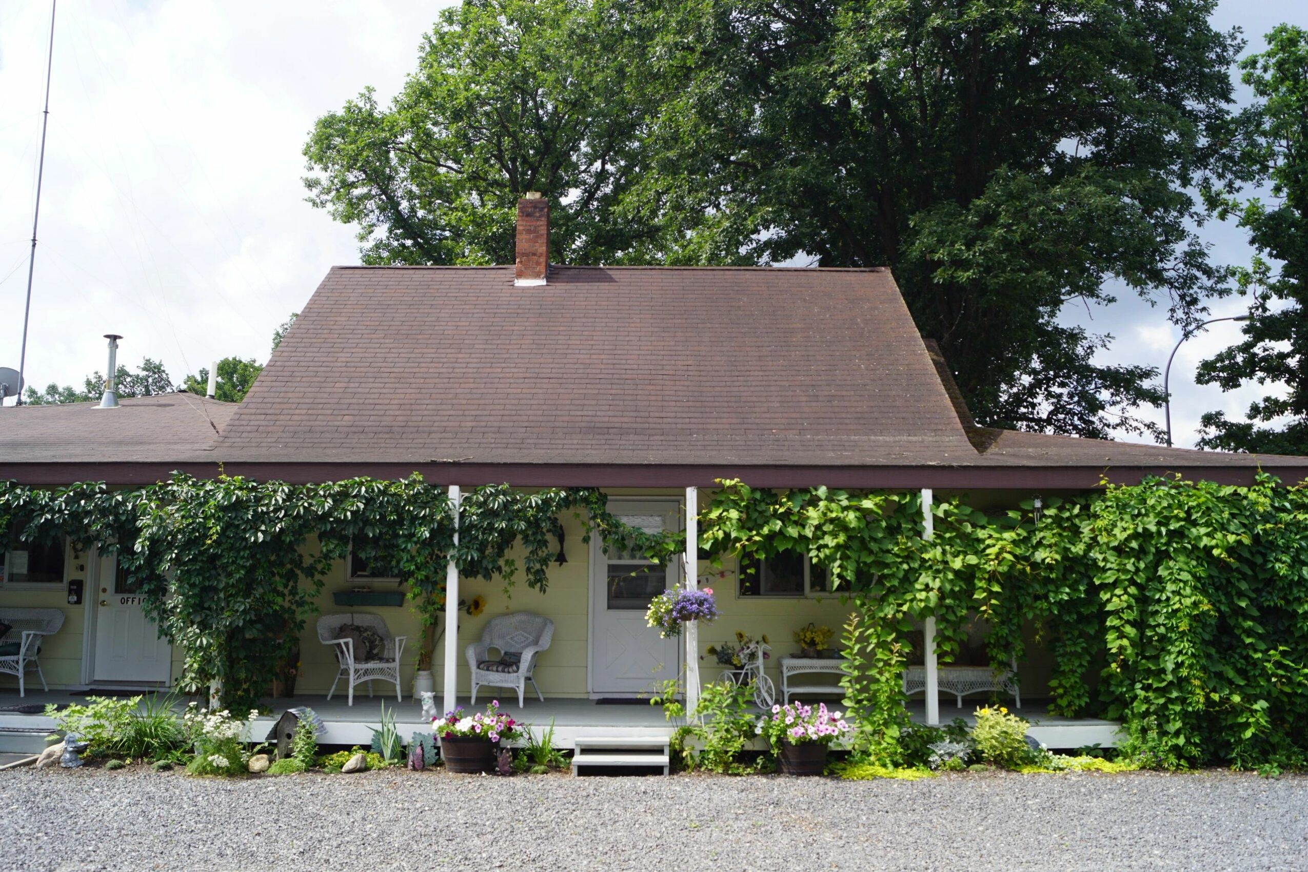 Front view of a house with a porch, surrounded by greenery and trees, with a gravel driveway in front.