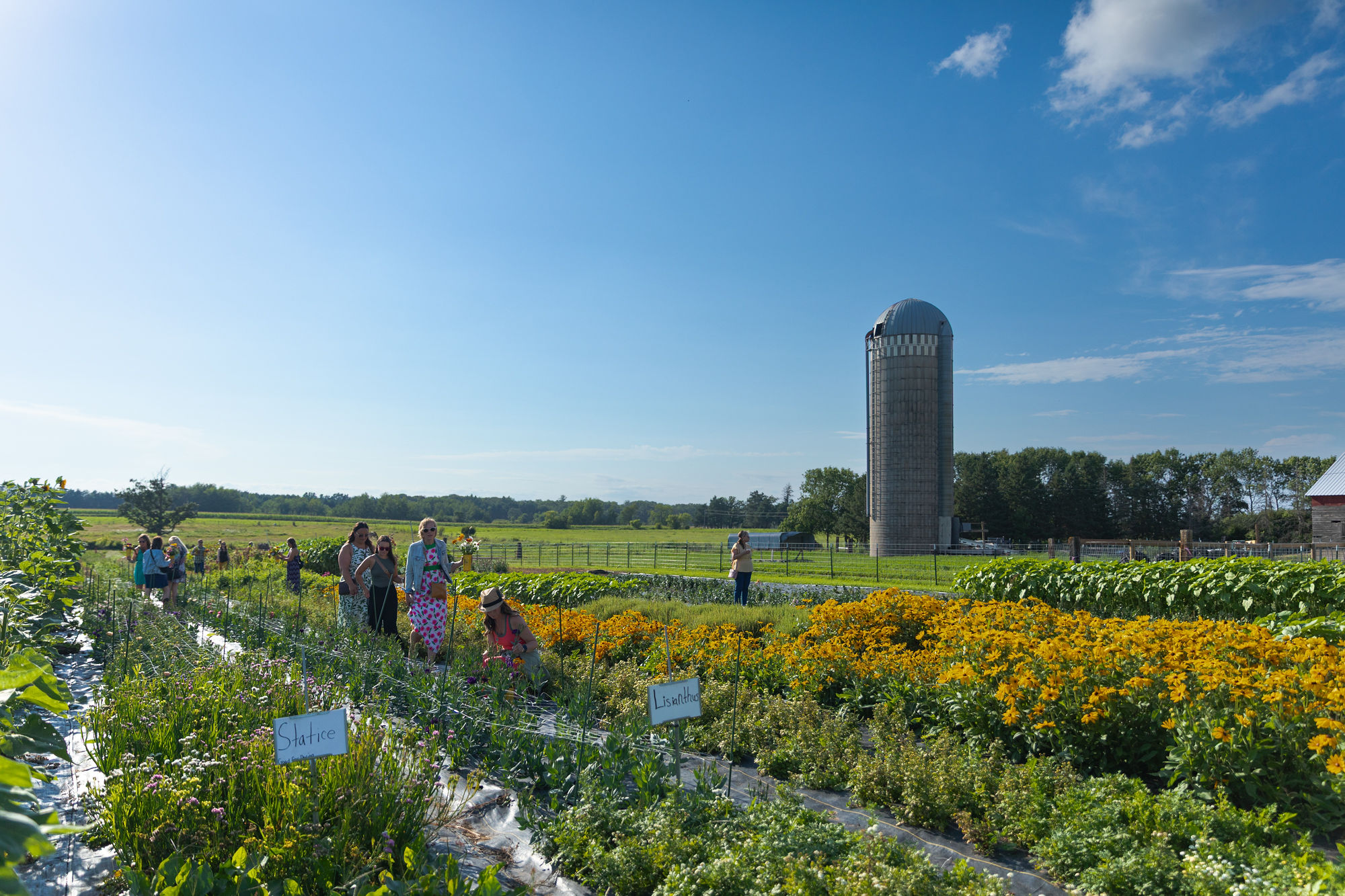 People walk through a colorful flower garden with a tall silo and blue sky in the background.