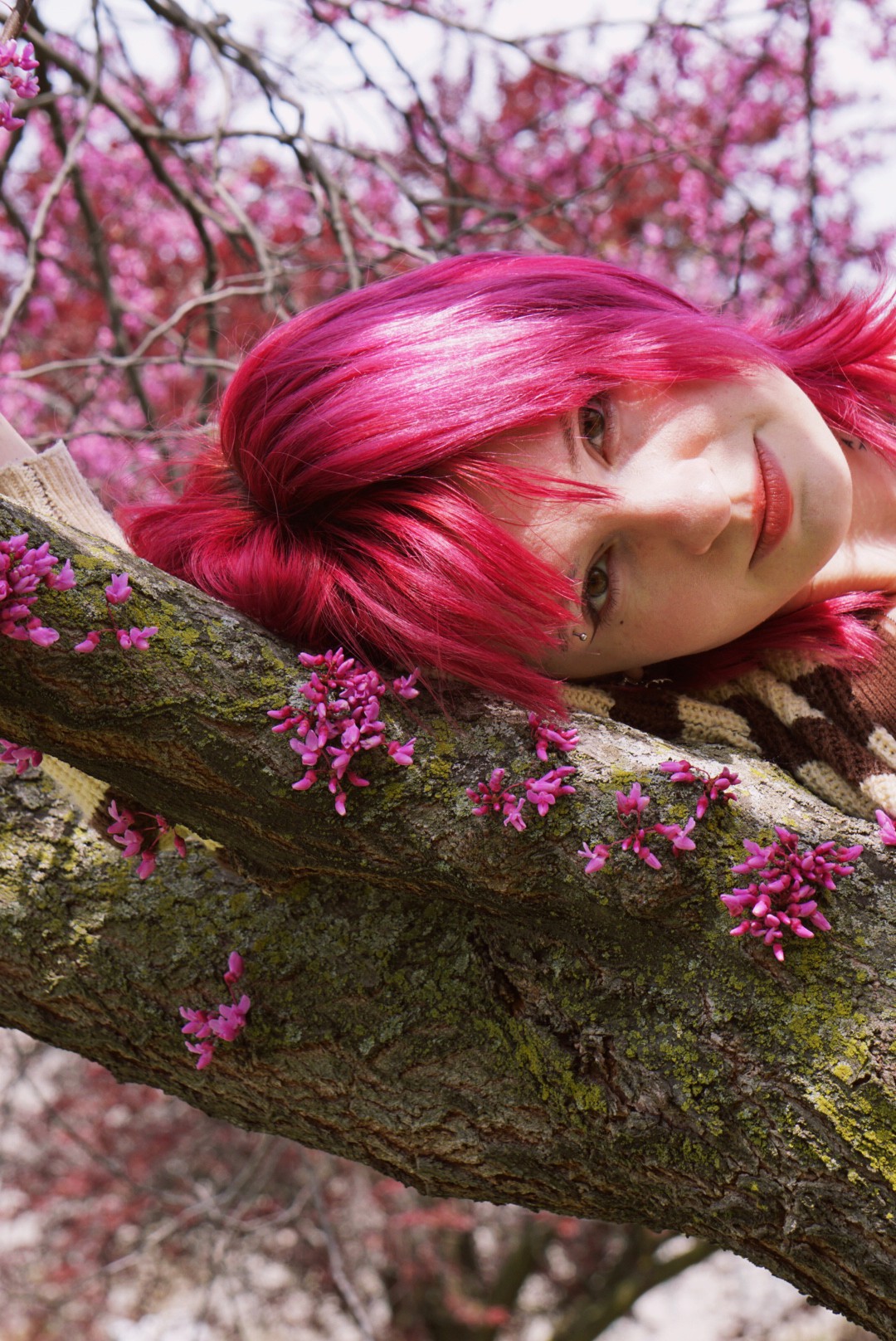 Woman with pink hair lying on a tree branch among pink blossoms, looking at the camera.