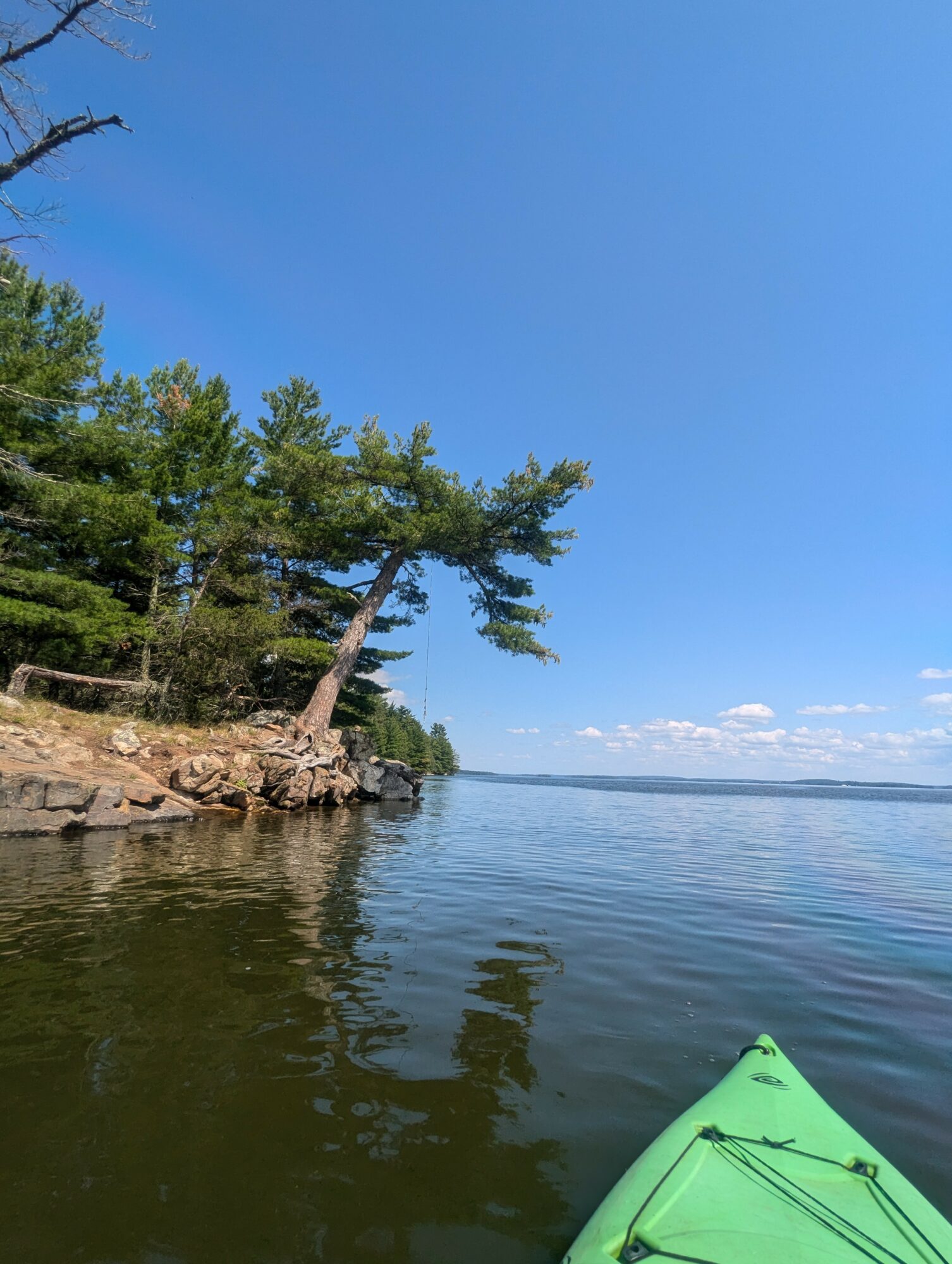 View from a kayak on a lake with trees on the shoreline and a clear blue sky.