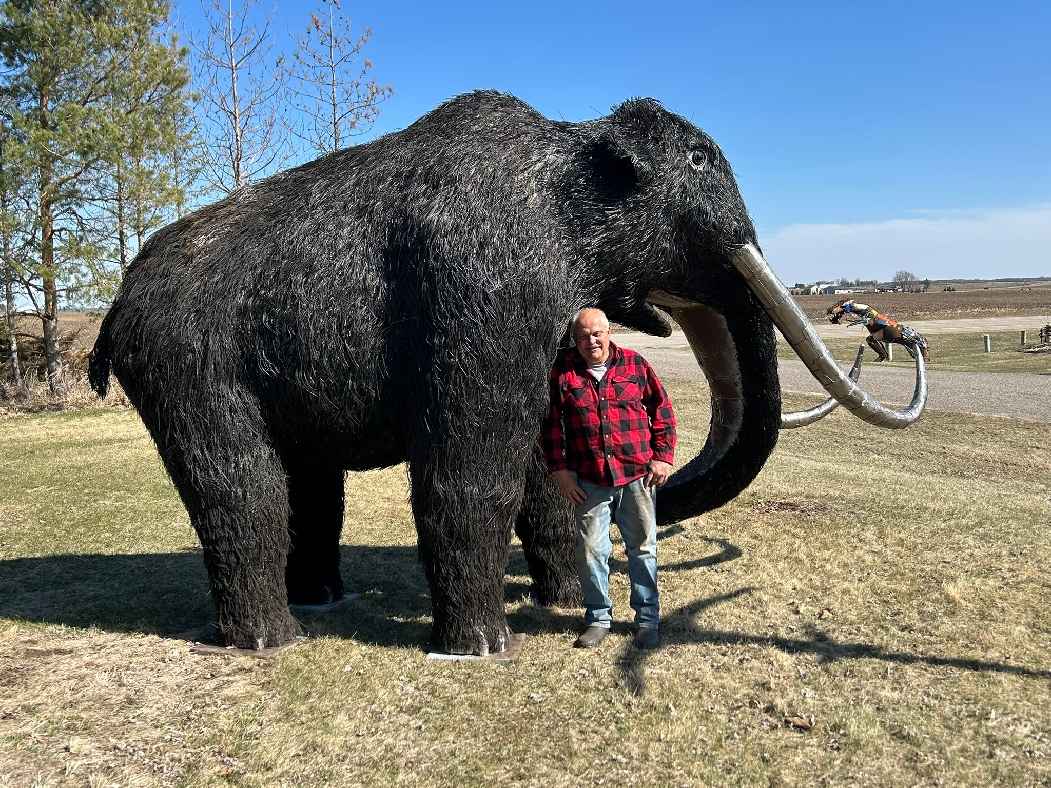 Person standing next to a large elephant outdoors on grass, with trees and a clear blue sky in the background.