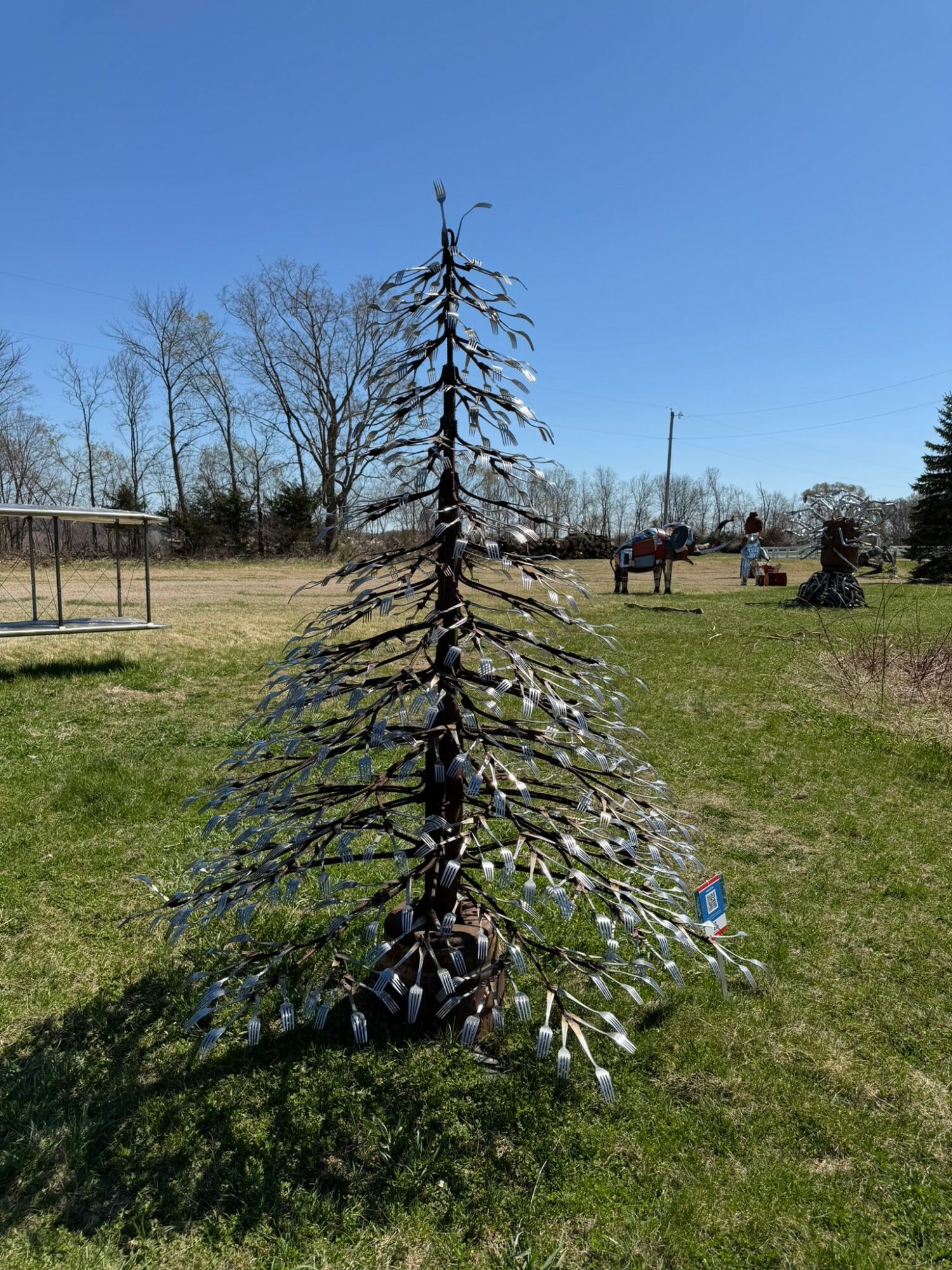 A small, leafless tree with sparse branches stands in a grassy field under a clear blue sky.