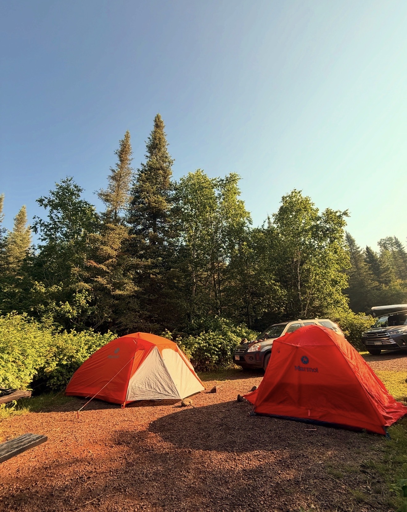 Two red tents set up on a grassy area with trees and parked cars in the background under a clear sky.