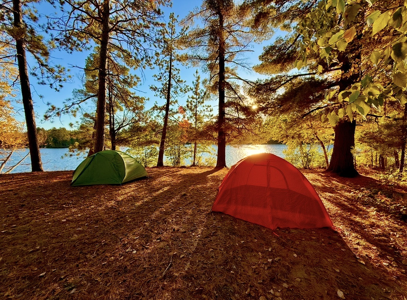 Two tents, one green and one red, set up on a forested lakeshore with trees and water in the background.