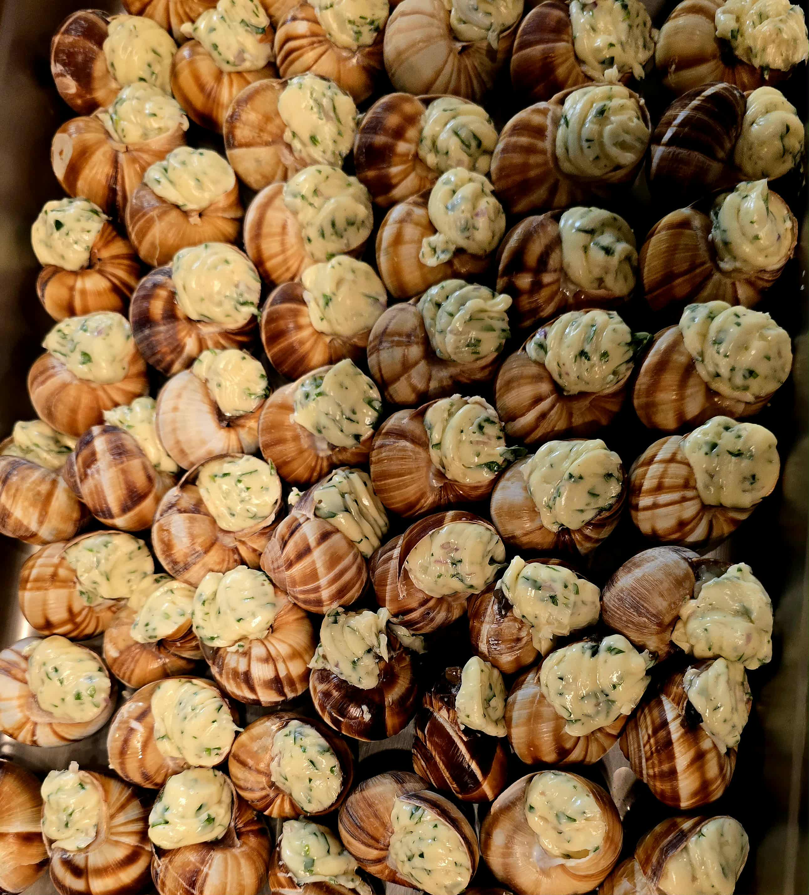 Close-up of snails with shells and cream-colored filling, arranged in rows.