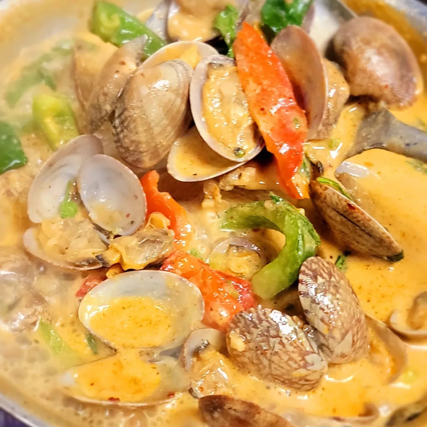 Clam and vegetable dish with green and red peppers in a creamy sauce, close-up view.