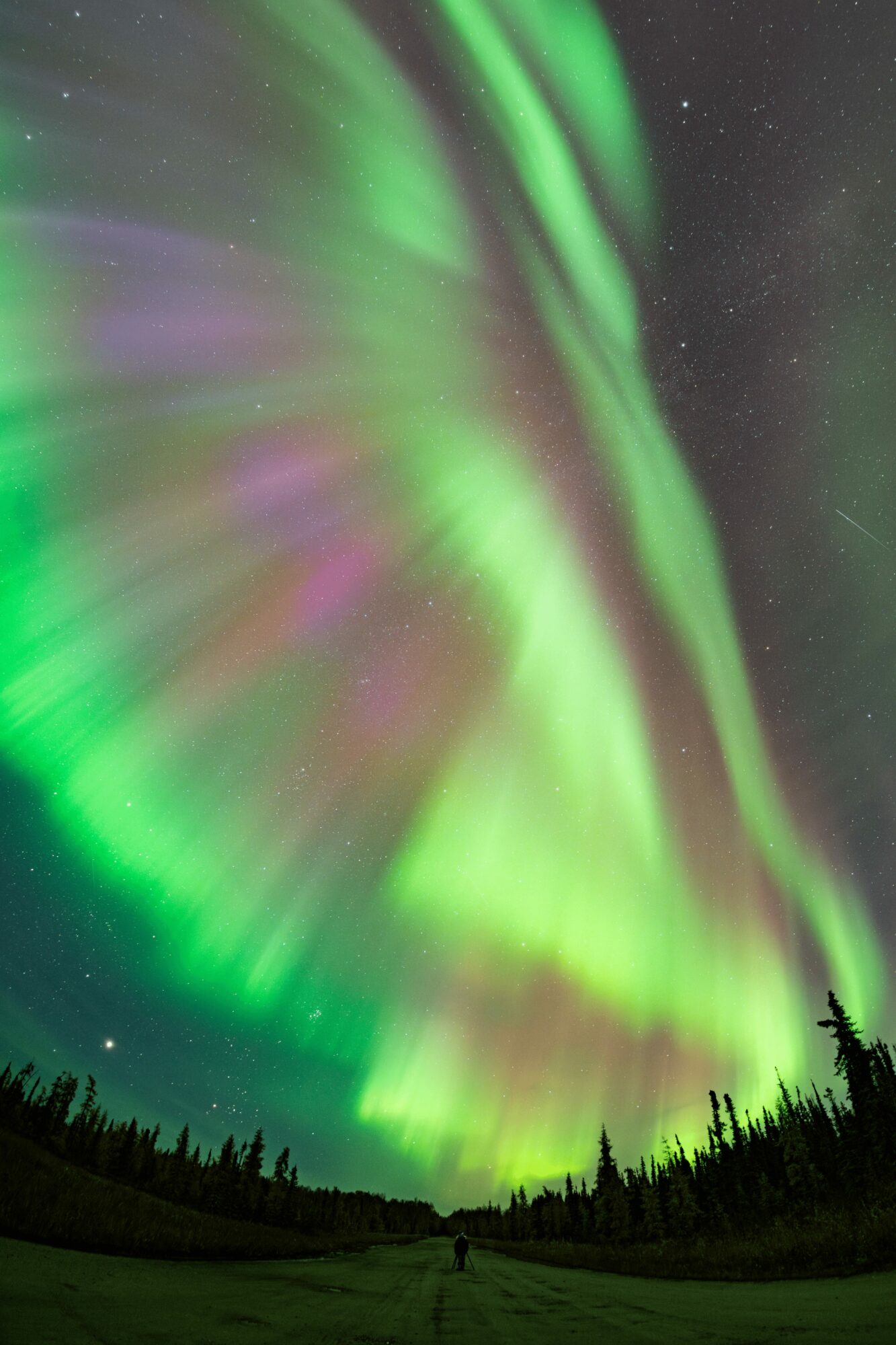 Vivid green and purple aurora lights swirl across a night sky with stars, over a dark forested landscape.