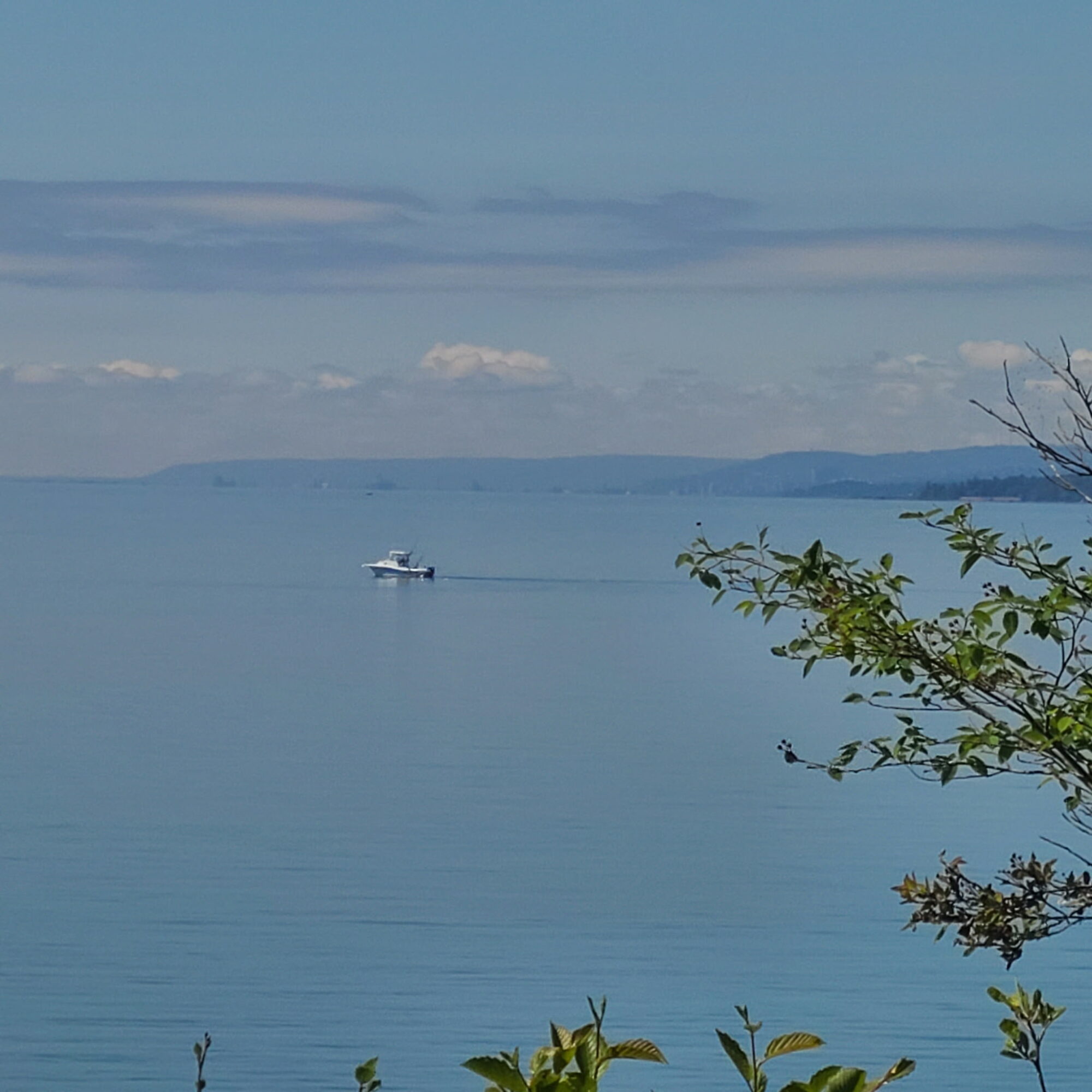Calm lake with a boat, distant shoreline, and a tree branch in the foreground, under a partly cloudy sky.