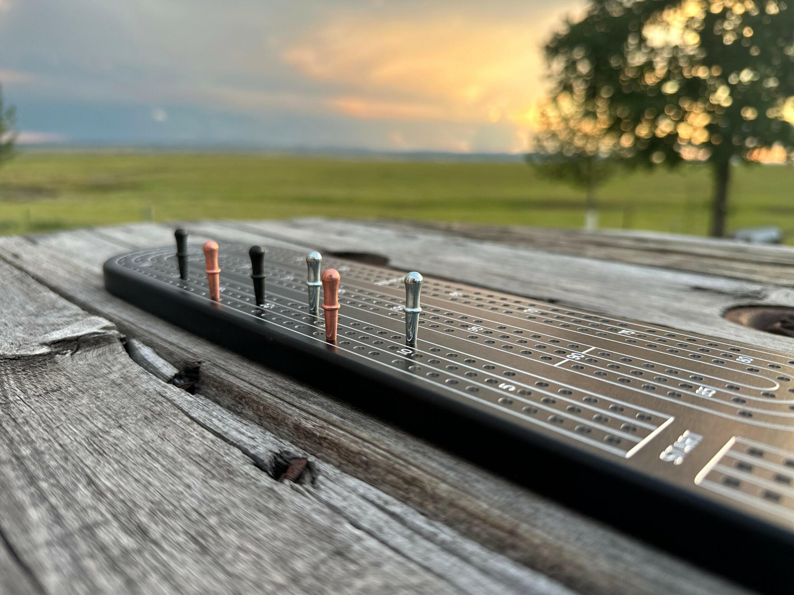 Close-up of a metal stringed instrument, possibly a pedal steel guitar, on a weathered wooden surface outdoors with a sunset sky and trees in the background.